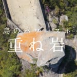 Aerial view of a large boulder with orange lichen in a forest, overlaid with Japanese title text.