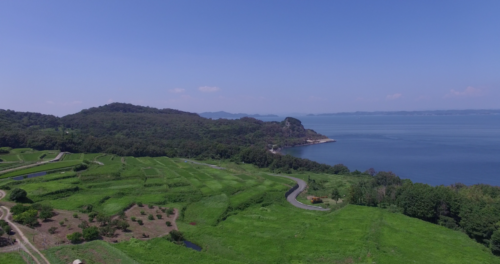 teshima_tanada2